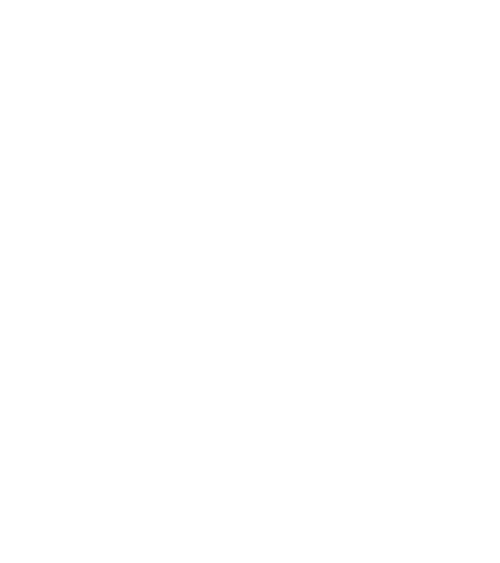 Aniversario